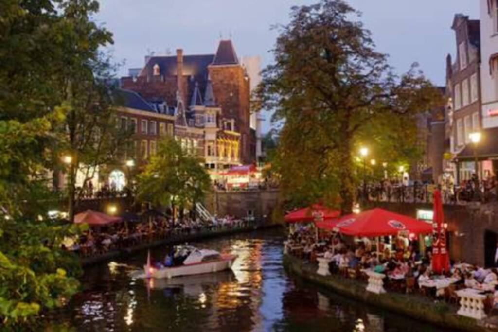 Vakantiehuis Horsterwold 泽沃德 外观 照片