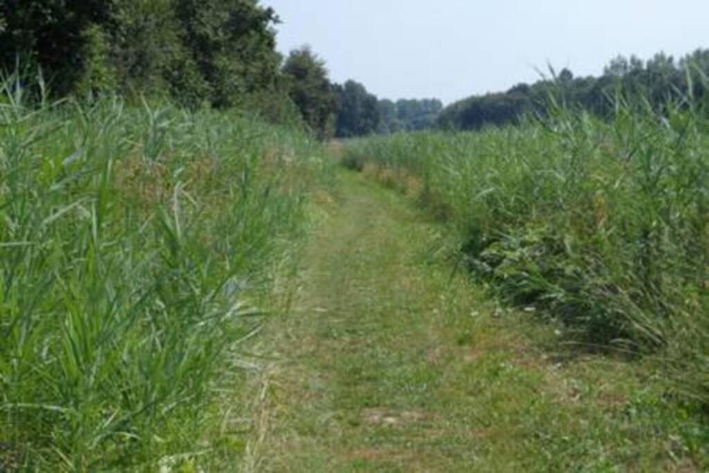 Vakantiehuis Horsterwold 泽沃德 外观 照片